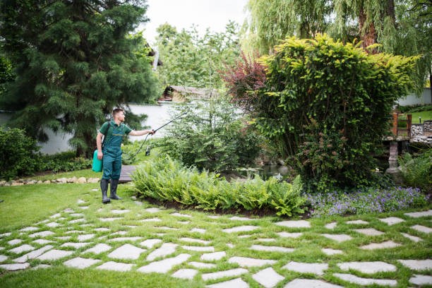 Best Affordable Pest Control Services  in Port Jervis, NY