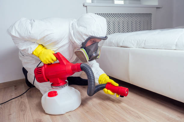 Best Affordable Pest Control Services  in Port Jervis, NY