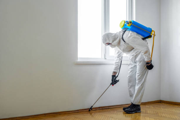 Best Bed Bug Extermination  in Port Jervis, NY
