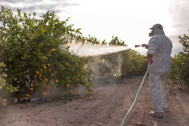 Best Insect Control  in Port Jervis, NY