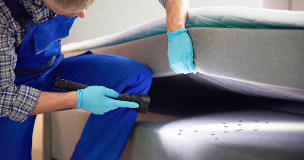 Best Local Pest Control Services  in Port Jervis, NY