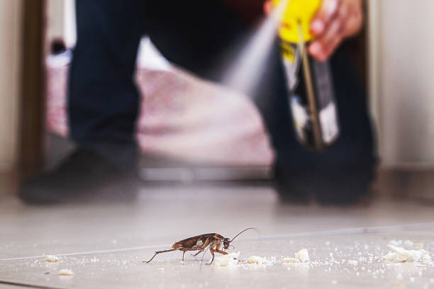 Best Spider Control Near Me  in Port Jervis, NY