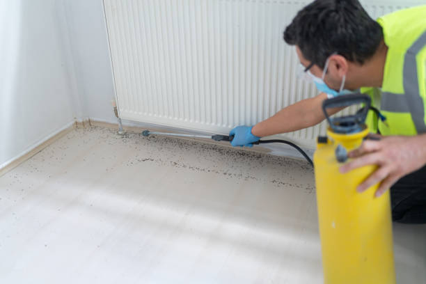 Best Ant Control Services  in Port Jervis, NY