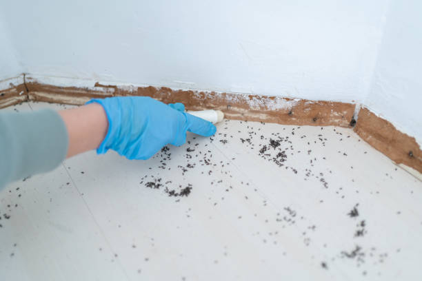 Trusted Port Jervis, NY Pest Control Experts