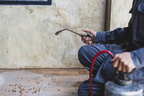 Best Pest Inspection Near Me  in Port Jervis, NY